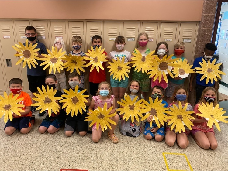 2B sunflower compliments